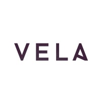 Vela Consulting Group logo, Vela Consulting Group contact details