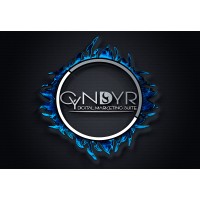 Cyndyr LLC logo, Cyndyr LLC contact details