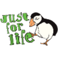 FlyCards или JustForLife logo, FlyCards или JustForLife contact details