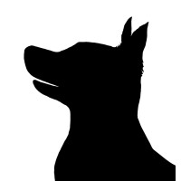 BestDog IT logo, BestDog IT contact details