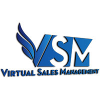 Virtual Sales Management logo, Virtual Sales Management contact details