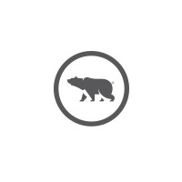 BoldBear logo, BoldBear contact details