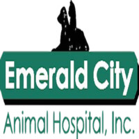 Emerald City Animal Hospital logo, Emerald City Animal Hospital contact details