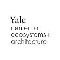 Yale CEA logo, Yale CEA contact details