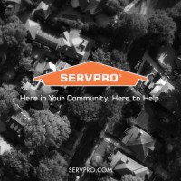 SERVPRO of Stamford logo, SERVPRO of Stamford contact details