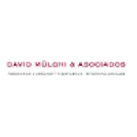 David Mülchi & Asociados logo, David Mülchi & Asociados contact details