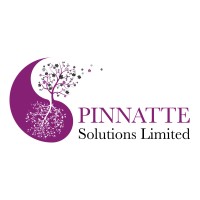 Pinnatte Solutions Ltd logo, Pinnatte Solutions Ltd contact details