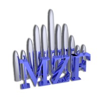 MZF SRL logo, MZF SRL contact details