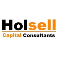 Holsell Capital Consultants logo, Holsell Capital Consultants contact details