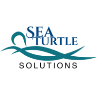 Sea Turtle Solutions logo, Sea Turtle Solutions contact details