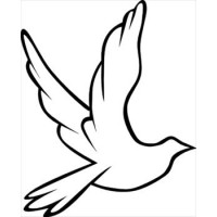 Dove Psychology logo, Dove Psychology contact details