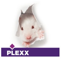 Plexx B.V. logo, Plexx B.V. contact details