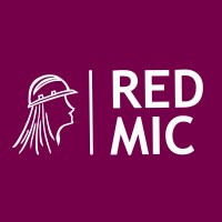 REDMIC - Red de Mujeres en Ingeniería Civil logo, REDMIC - Red de Mujeres en Ingeniería Civil contact details