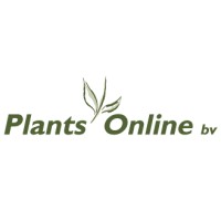 Plants Online BV logo, Plants Online BV contact details