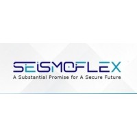 Seismoflex Private Limited logo, Seismoflex Private Limited contact details