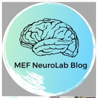 NeuroLab Blog logo, NeuroLab Blog contact details