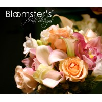 Bloomsters logo, Bloomsters contact details