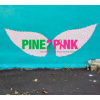 Pine2Pink Foundation 501 (c)(3) logo, Pine2Pink Foundation 501 (c)(3) contact details