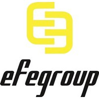 EFE GROUP logo, EFE GROUP contact details