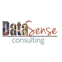 DataSense Consulting logo, DataSense Consulting contact details