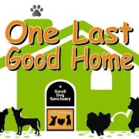 One Last Good Home Dog Sanctuary & Hospice logo, One Last Good Home Dog Sanctuary & Hospice contact details