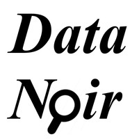 Data Noir, LLC logo, Data Noir, LLC contact details