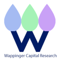 WappCap logo, WappCap contact details