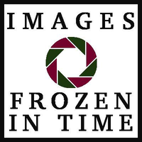 Images Frozen In Time Photography logo, Images Frozen In Time Photography contact details