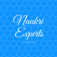 Naukri Experts logo, Naukri Experts contact details