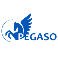 Pegaso S.r.l. logo, Pegaso S.r.l. contact details