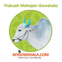 Prakash Mahajan Gowshala logo, Prakash Mahajan Gowshala contact details