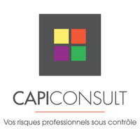 CAPI Consult O.I. logo, CAPI Consult O.I. contact details