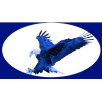 BLUE EAGLE TRAINING ACADEMY logo, BLUE EAGLE TRAINING ACADEMY contact details