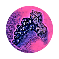 Red Fermented Grapes logo, Red Fermented Grapes contact details