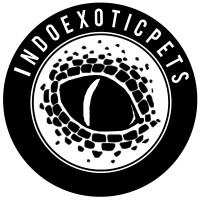 Indoexoticpets logo, Indoexoticpets contact details