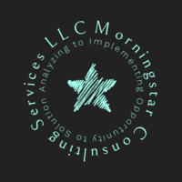 Morningstar Consulting Services LLC logo, Morningstar Consulting Services LLC contact details