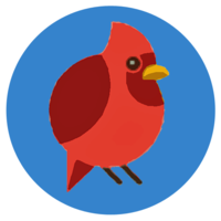 CodeBirdy logo, CodeBirdy contact details