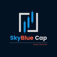 SkyBlue Capital logo, SkyBlue Capital contact details