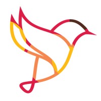 Firedove Technology logo, Firedove Technology contact details