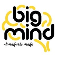 BigMind.EC logo, BigMind.EC contact details