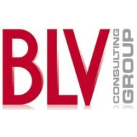 BLV CONSULTING GROUP logo, BLV CONSULTING GROUP contact details