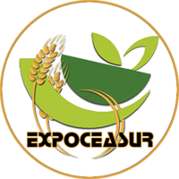 EXPOCEASUR SL logo, EXPOCEASUR SL contact details