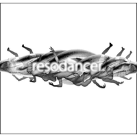 RESODANCER COMPANY logo, RESODANCER COMPANY contact details