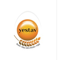 Yestav logo, Yestav contact details