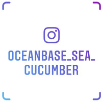 Oceanbase Sea Cucumber logo, Oceanbase Sea Cucumber contact details