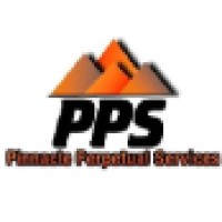 Pinnacle Perpetual Services logo, Pinnacle Perpetual Services contact details