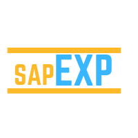 SAP EXP Consulting. logo, SAP EXP Consulting. contact details