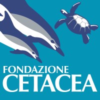 Fondazione Cetacea logo, Fondazione Cetacea contact details