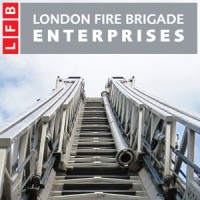 LFB ENTERPRISES LIMITED logo, LFB ENTERPRISES LIMITED contact details