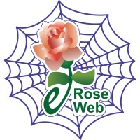 eRose Web & Business Services, LLC logo, eRose Web & Business Services, LLC contact details